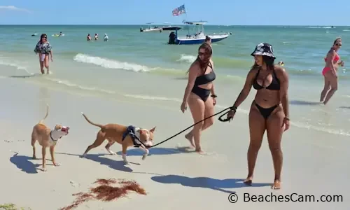 Fort Myers Beach on Estero Island