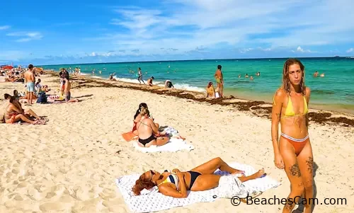 Miami Beach