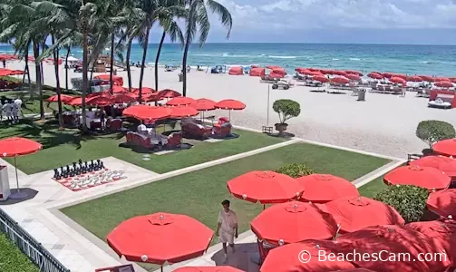 Acqualina Beach Resort in Sunny Isles Beach