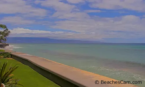 Humpback Whales on Maui Island